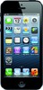 Apple iPhone 5 16GB - Выборг